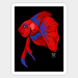 The Painting of Betta Fish Magnet